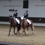 Abteilungsfoto Dressur