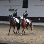 Abteilungsfoto Dressur